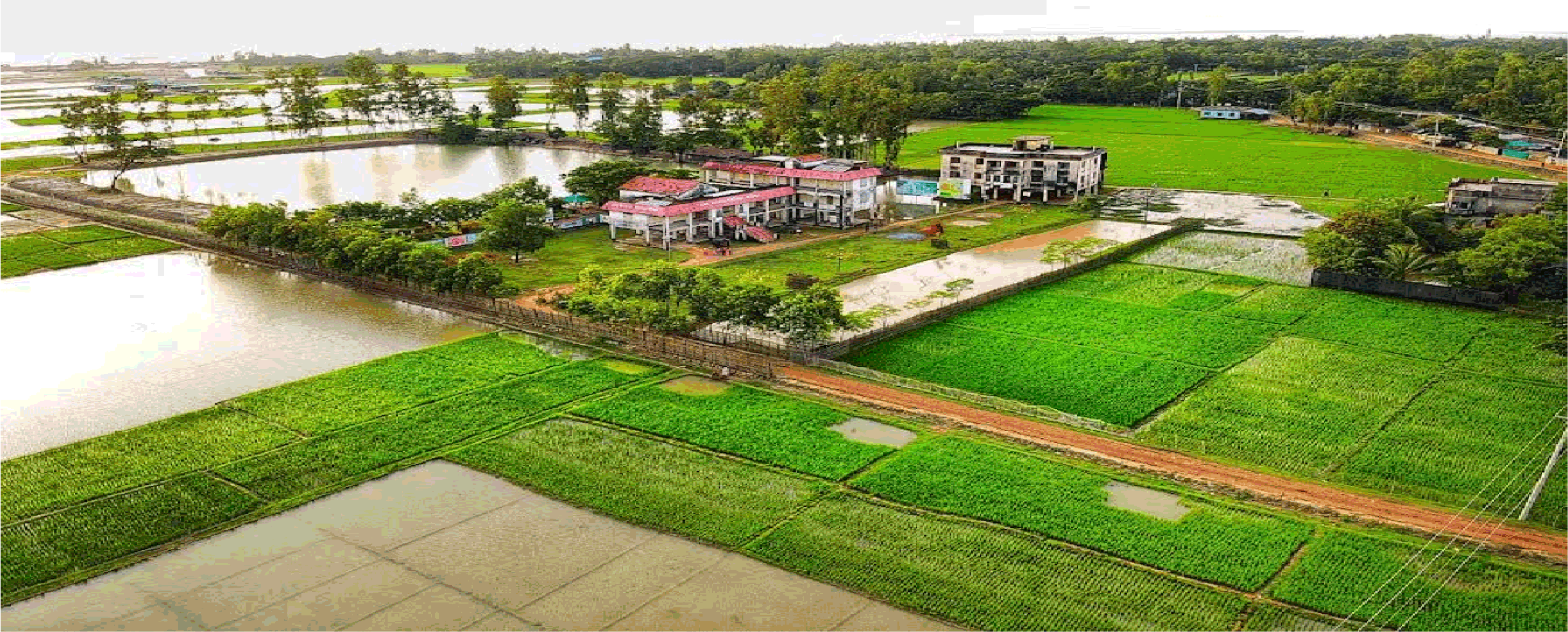 ৫নং মগনামা ইউনিয়ন পরিষদ